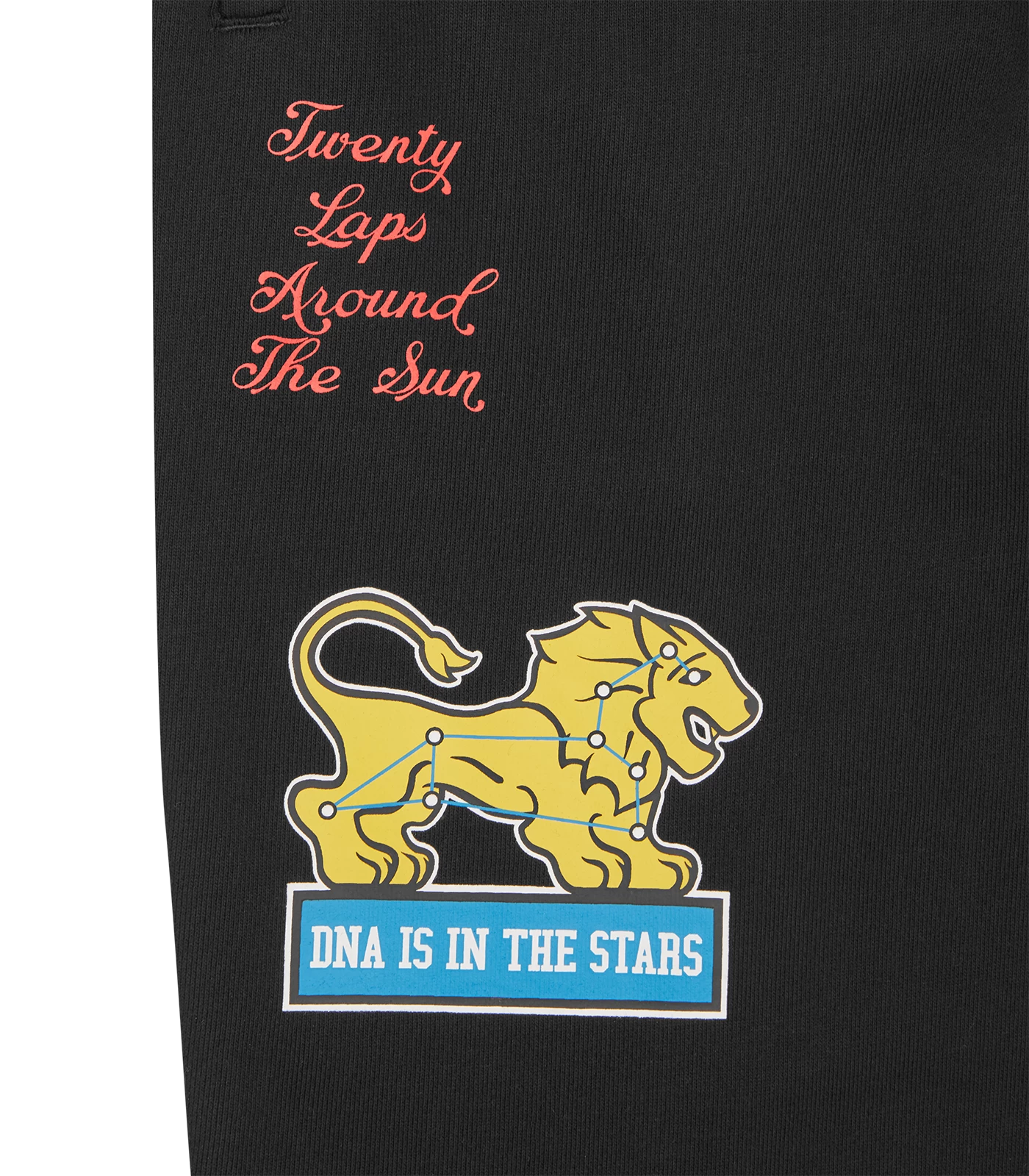 20TH ANNIVERSARY SWEATPANTS - BLACK 4 20TH ANNIVERSARY SWEATPANTS - BLACK - Image 4