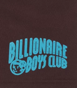 KIDS ARCH LOGO SHORTS - BROWN -Fashion Style Shop BK23316 BROWN 03