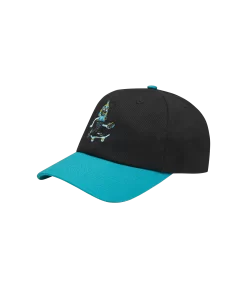 TEAM EU SKATE CONE DAD CAP - BLACK